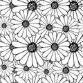 Outline daisy on white seamless background. Botanical endless pattern